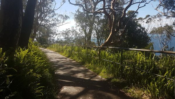 A WALK TO BAGNALLS BEACH FROM NELSON BAY -